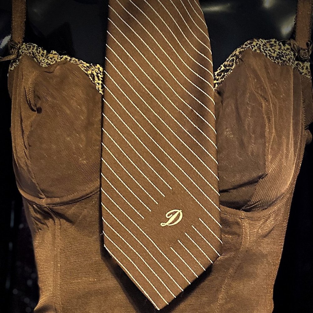 JC Penney's 1970's Vintage Wide Girth Necktie